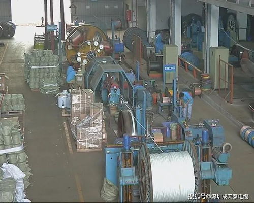 揭陽民生熱線專訪董事長陳展新 誠信經(jīng)營創(chuàng)品牌 電纜行業(yè)勇創(chuàng)新